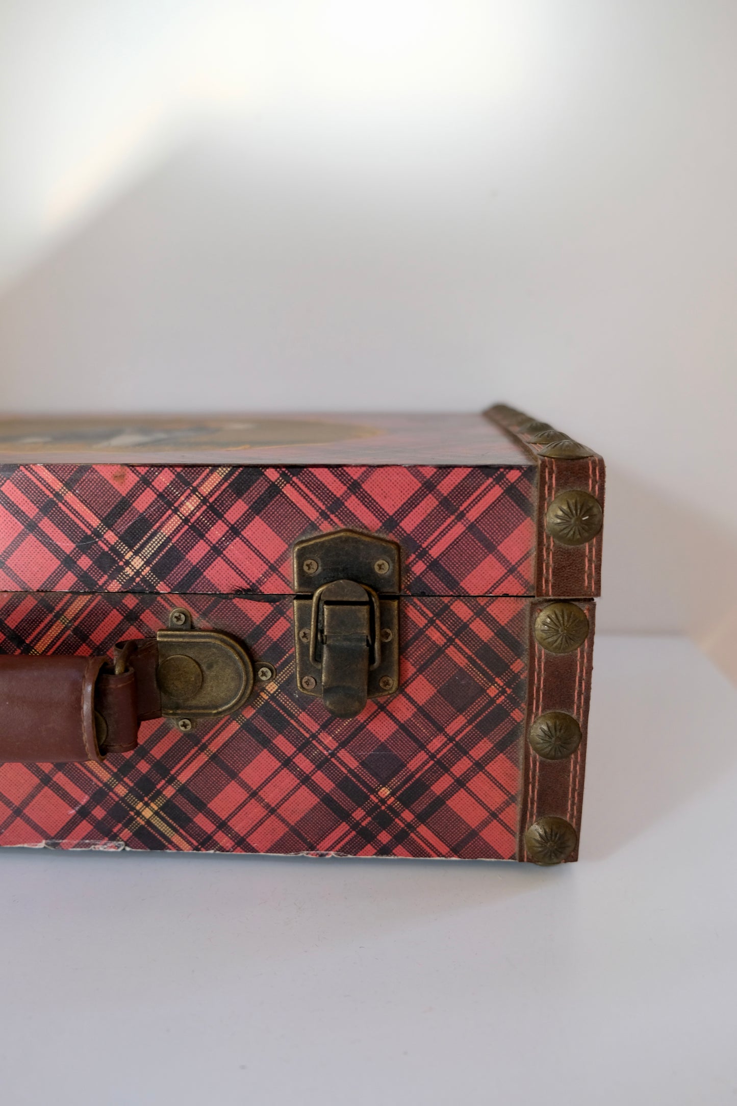 Vintage Hand-Painted Dog Tartan Case with Velvet Interior