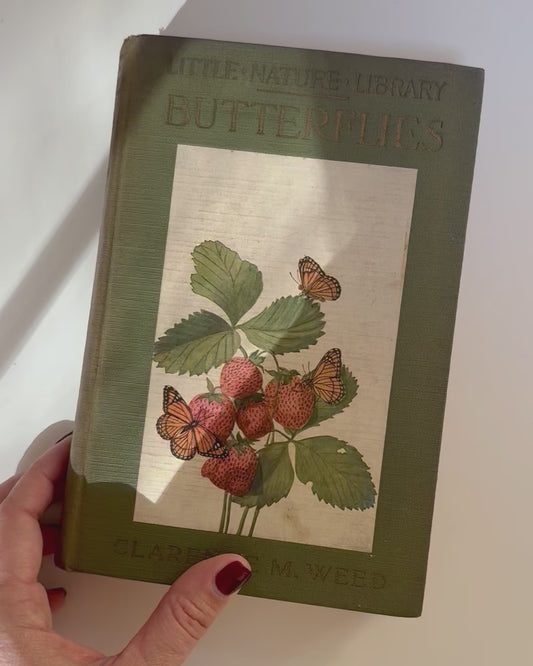 Little Nature Library: Butterflies by Clarence M. Weed, 1928